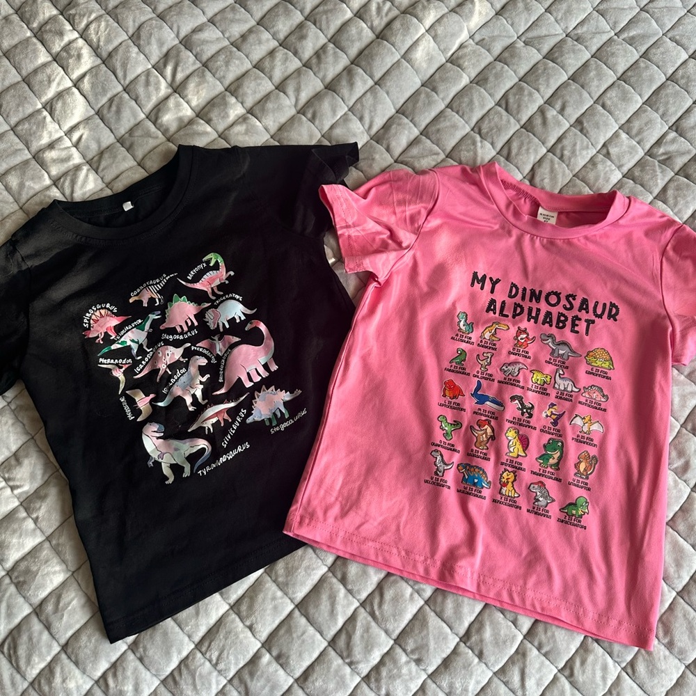 Girly Dinosaur Graphic T-Shirts Set
